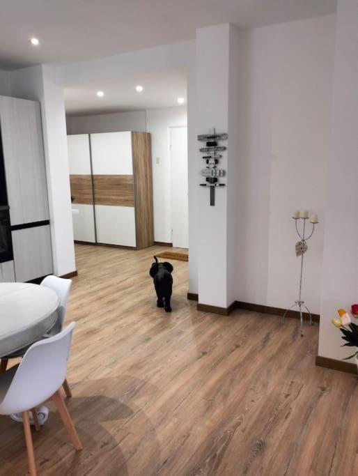 Pisi Home, 2 Min Dalla Spiaggia E Dall' Ospedale Gaslini Génova Exterior foto